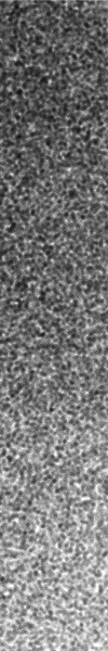 artegenerativodia20