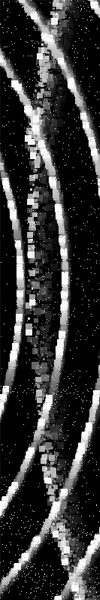 artegenerativodia24